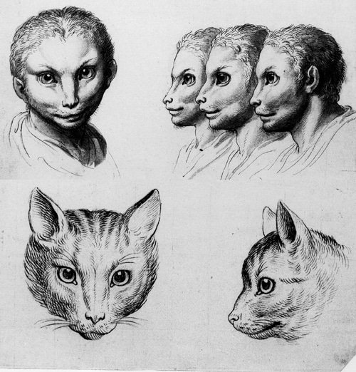 14-charles-le-brun-physiognomy-humans-evolved.jpg