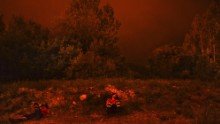 170618103021-14-portugal-wildfire-0618-restricted-small-169.jpg