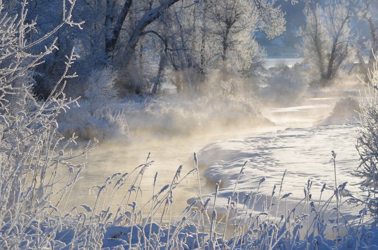 Nehs frozen river.jpg