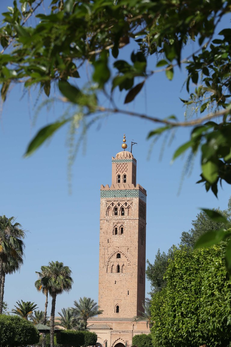 Marrakech 2016 0199.jpg