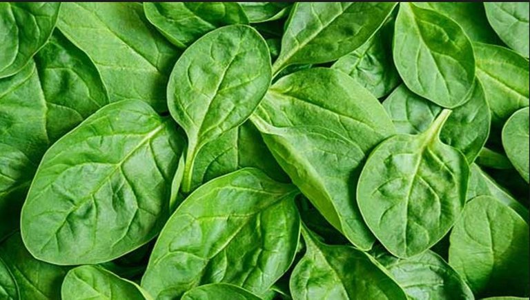 spinach.JPG