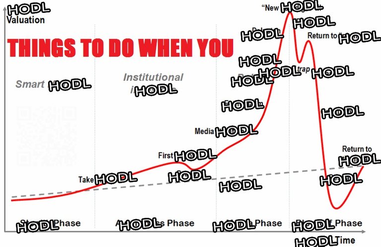 hodl.jpg