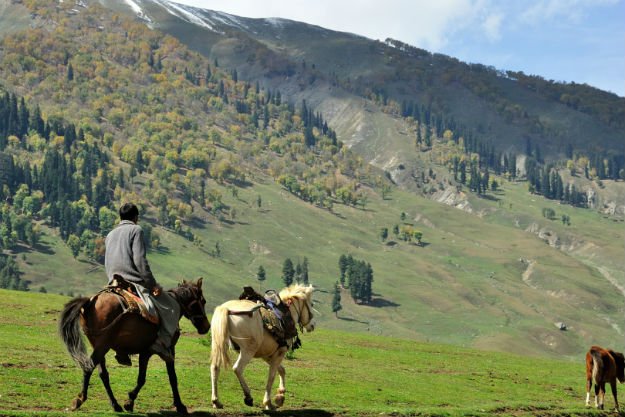 sonmarg.jpg