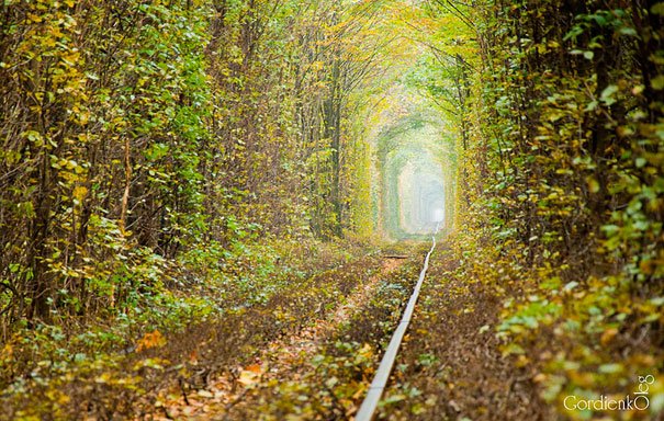 tunnel-of-love-ukraine-2.jpg