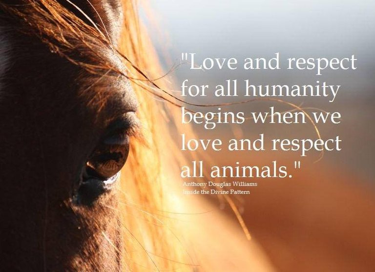 love respect animals humans.jpg