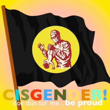 Cisgender flag.jpg