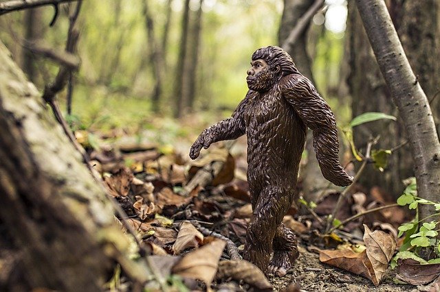 bigfoot-542546_640.jpg