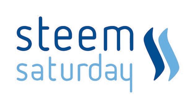 Steem Sat Logo.jpg