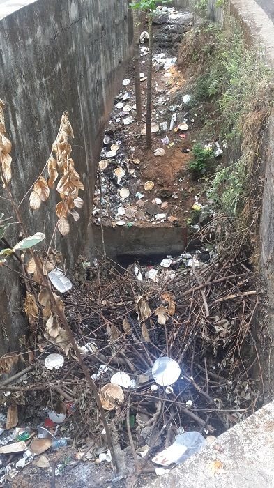 Trash by the side of the road in Western Ghats, India.jpg