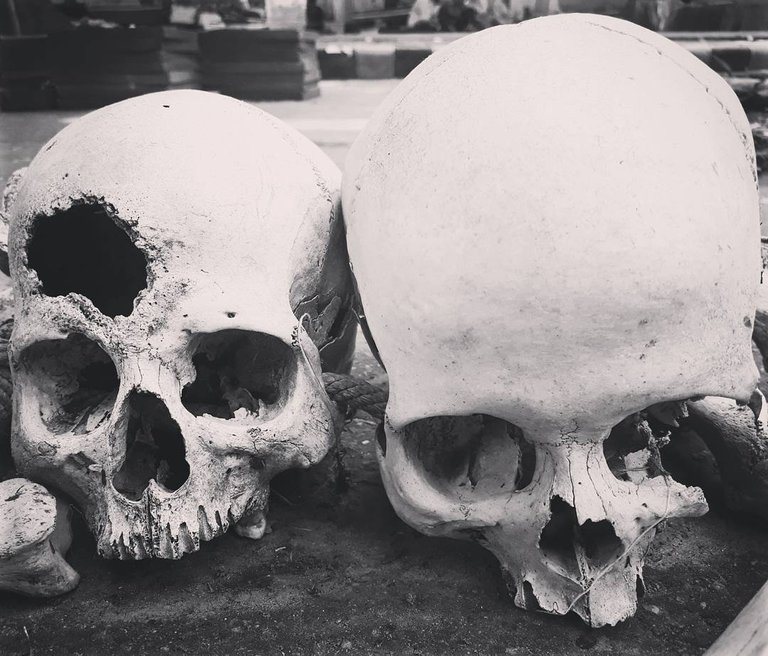 Skulls of TN.jpg