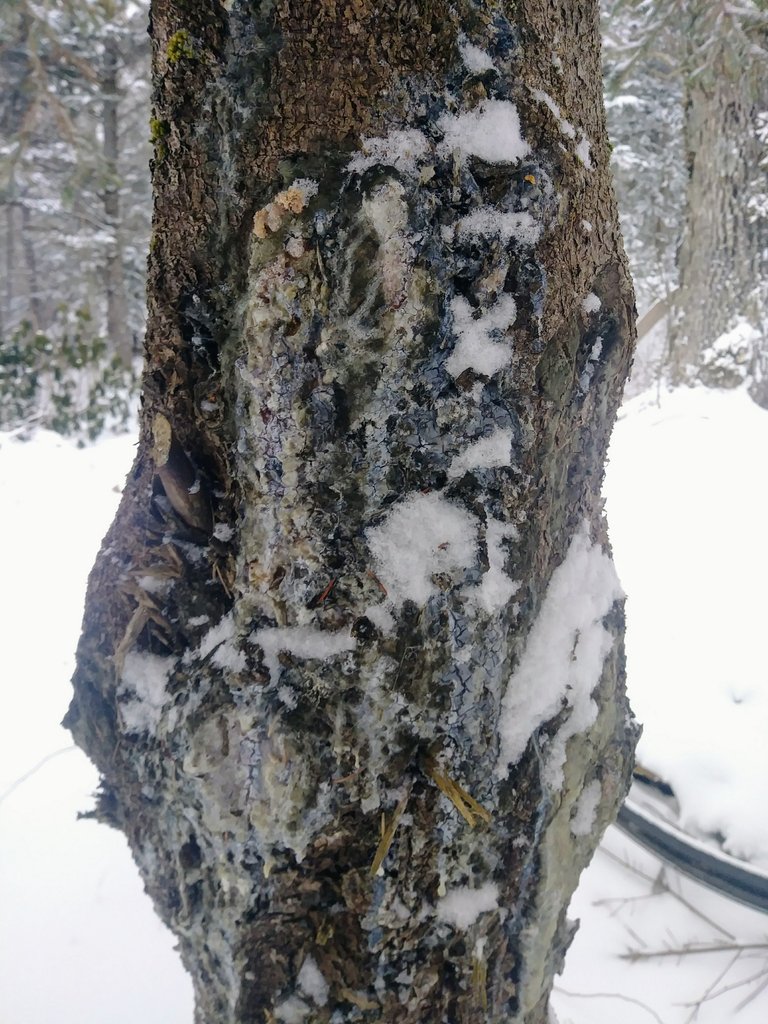 20180130_083142.jpg