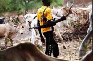 tension-as-fulani-herdsmen-invade-and-occupy-five-villages-in-benue-state.jpg