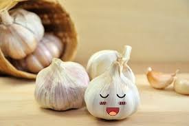 garlic.jpg