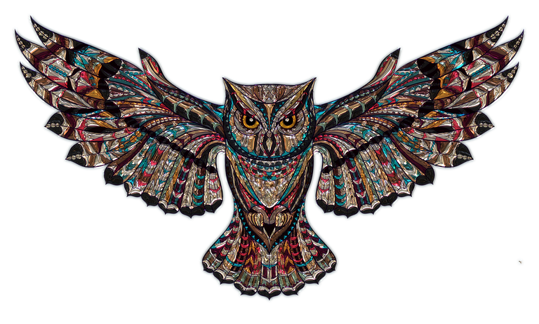 owl-1791700_960_720.png