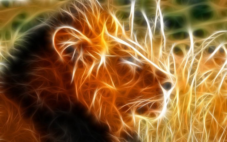 The_King_lion_hd_wallpapers.jpg