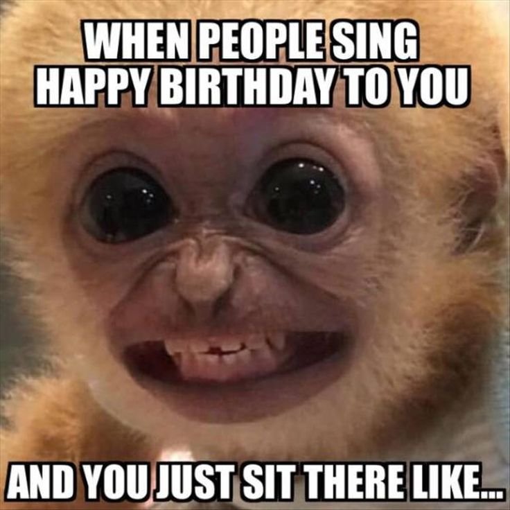 01c01c45cb997f16675c5a5825645ceb--funny-happy-birthdays-pictures-of.jpg