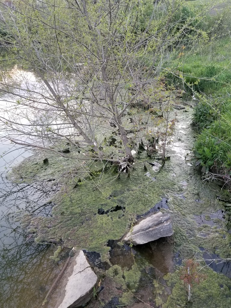 20180421_191708.jpg