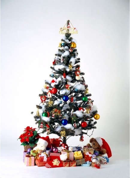 christmas_tree_covered_with_gift_170129.jpg