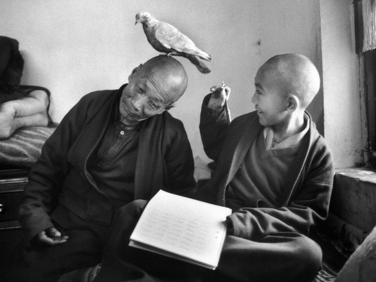 Shechen Monastery Martine Franck 1996.jpg