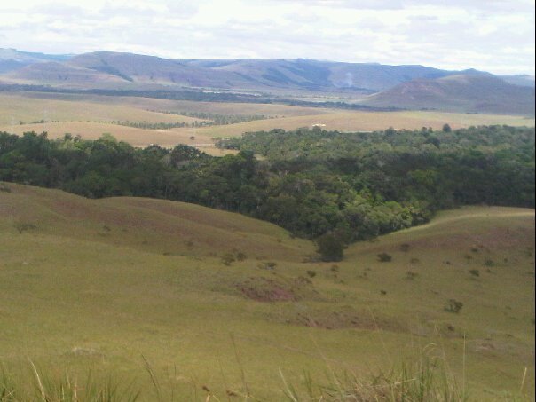 gransabana.jpg