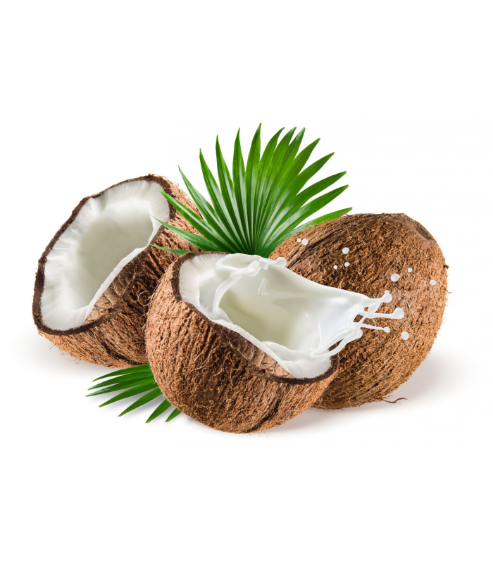 coconut-milk-powder-organic.jpg