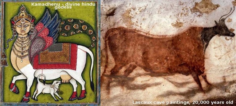 ancientcow.jpg