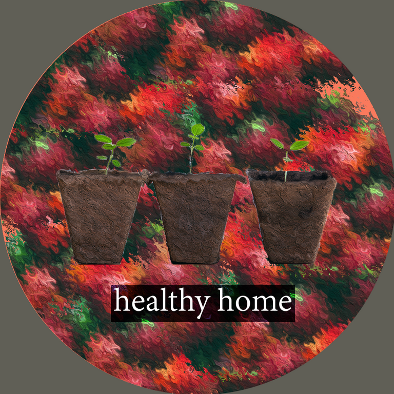 Healthy Home.png
