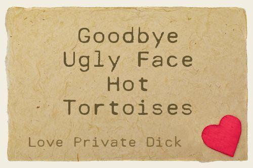 Goodbye Ugly Face Hot Tortoises