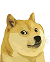 doge.png