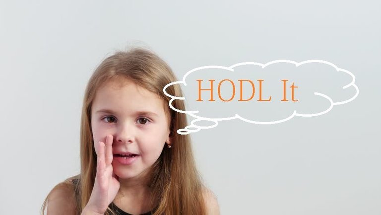 Hodl IT.jpg