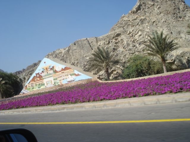 DSC01264.JPG
