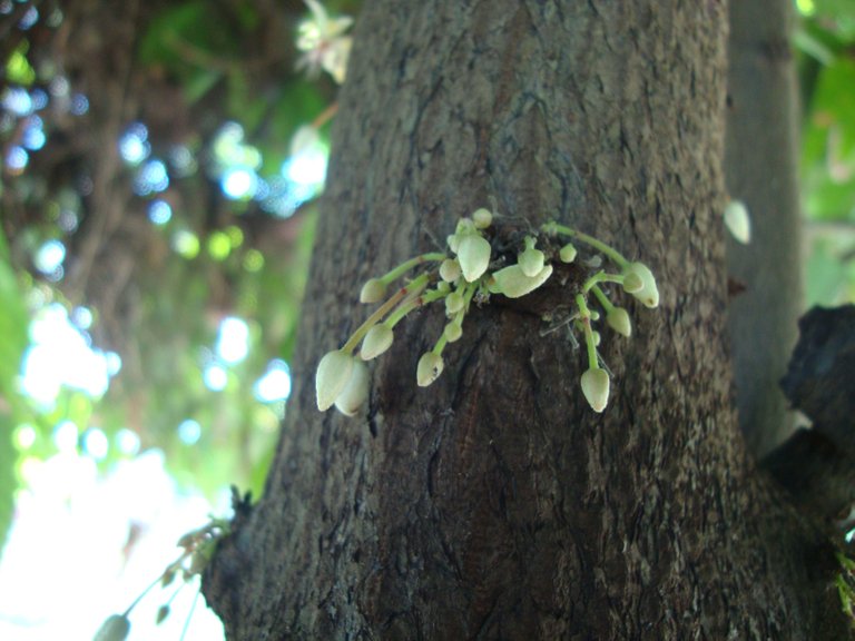 DSC02377.JPG
