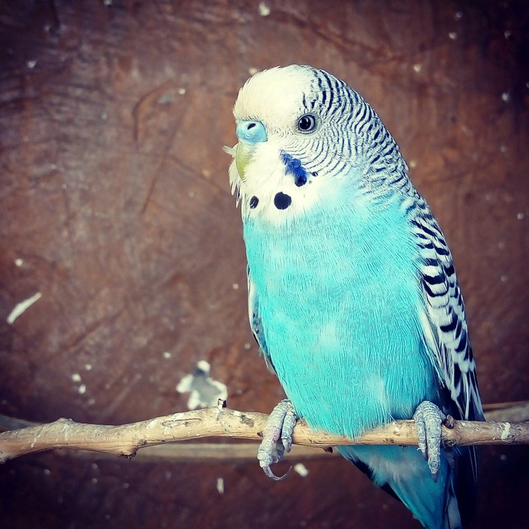 Image_3916.png