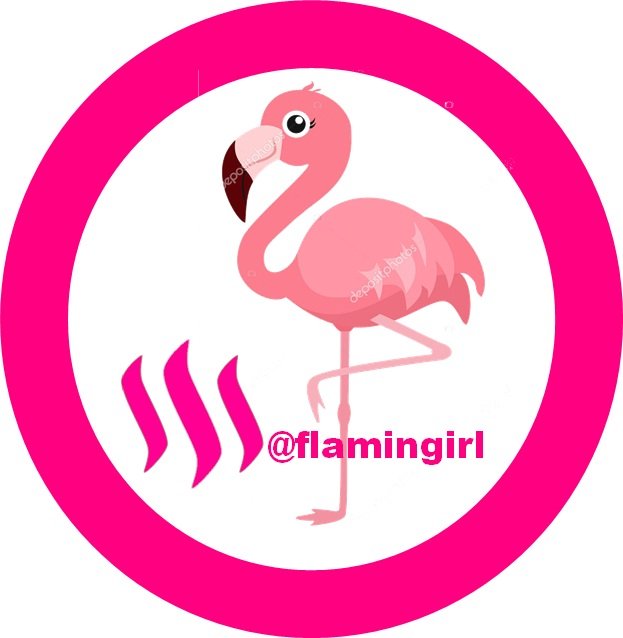 logo flamingirl.jpg
