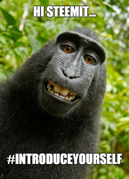 monkeymemechallenge.PNG