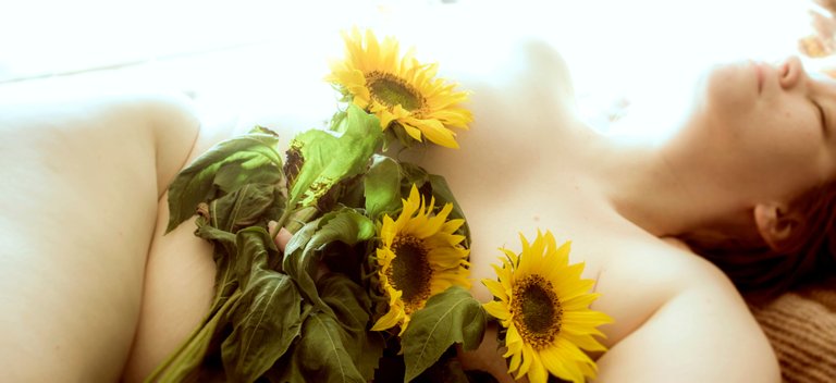 sunflowers3.jpg