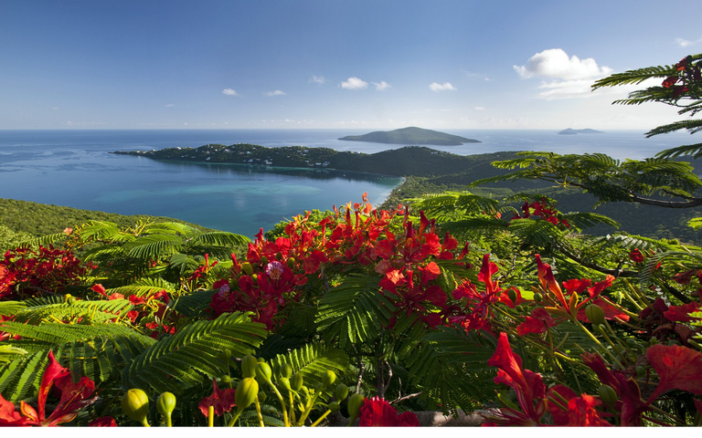 saint-thomas-imagens-stock.png