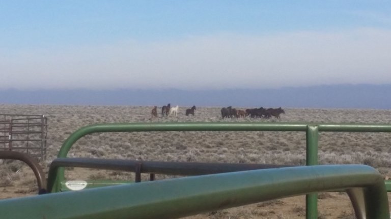 20170311_120617[1].jpg