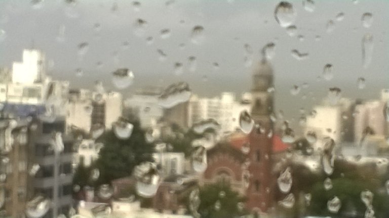 WP_20180428_008.jpg