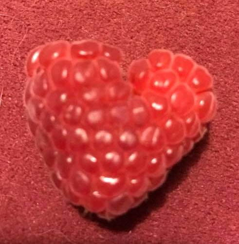 Raspberry Love.jpg