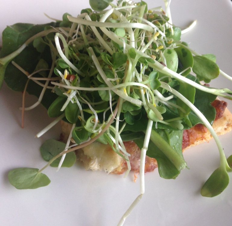 Pizza w sprouts.jpg