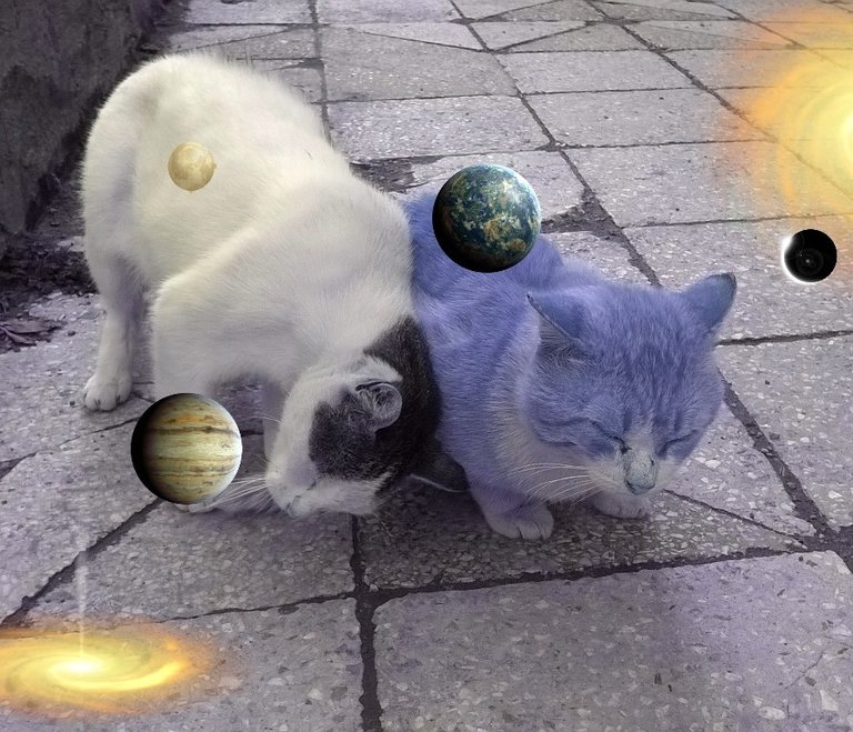 Luna.jpg