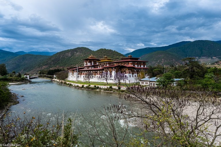 Bhutan-0081.jpg