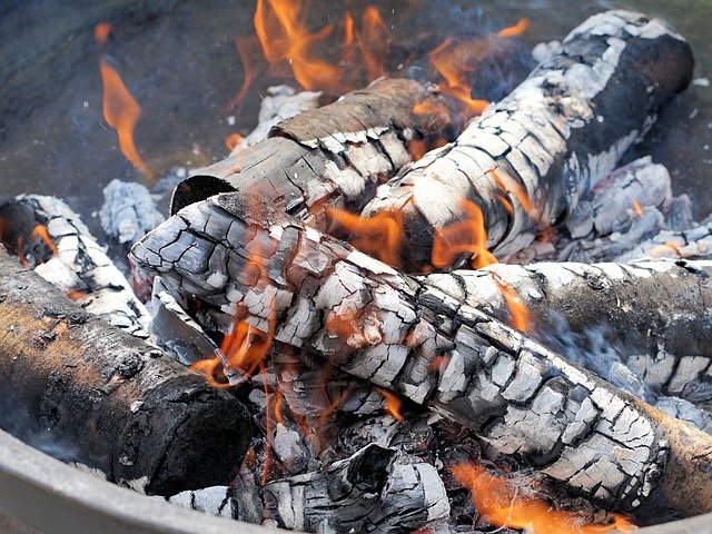 fire logs wood.jpg