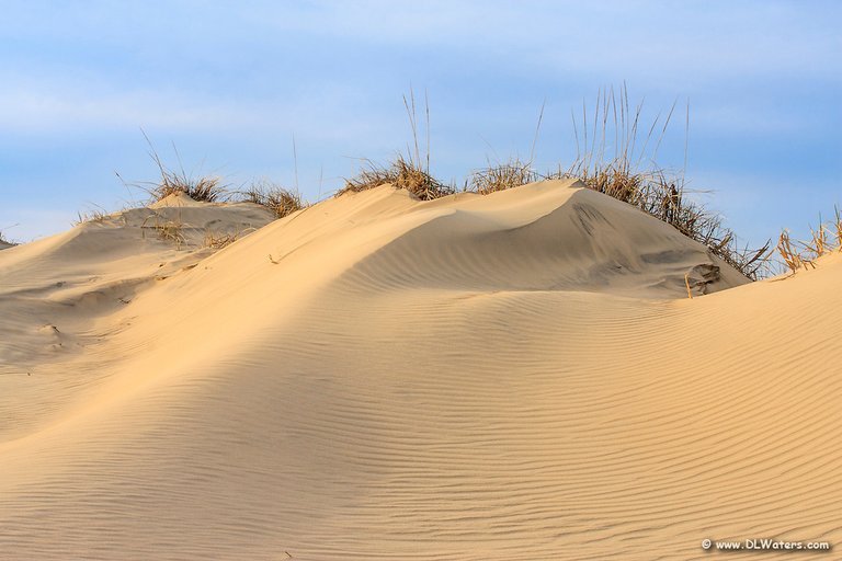 Sand-Dune-Detail.jpg