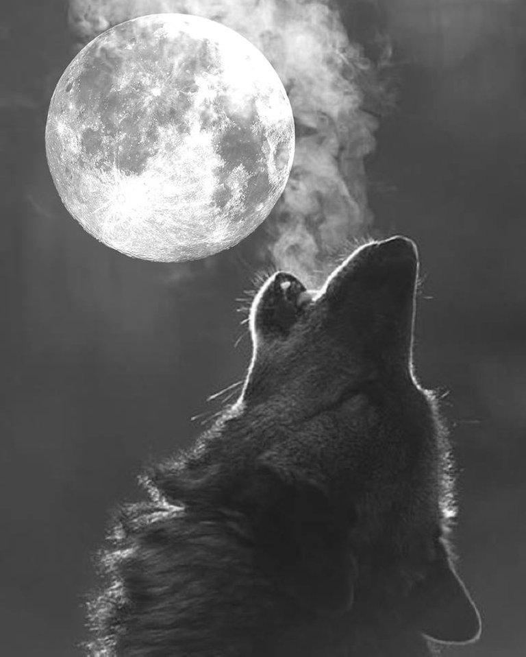 wolf-moon.jpg