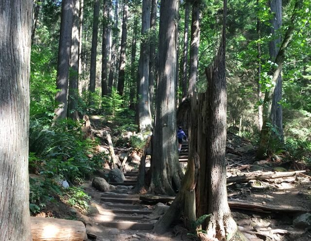 vancouver-quarry-rock-640x495.jpg