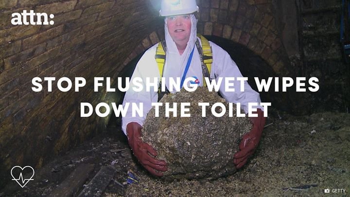 we-need-to-stop-flushing-trash-down-the-toilet-we-need-to-stop-flushing-trash-down-the-toi.jpg