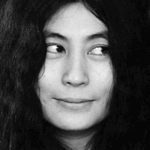 yoko.jpg