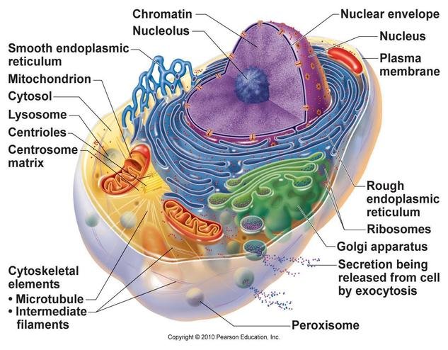 figure_03_02_labeled.jpg